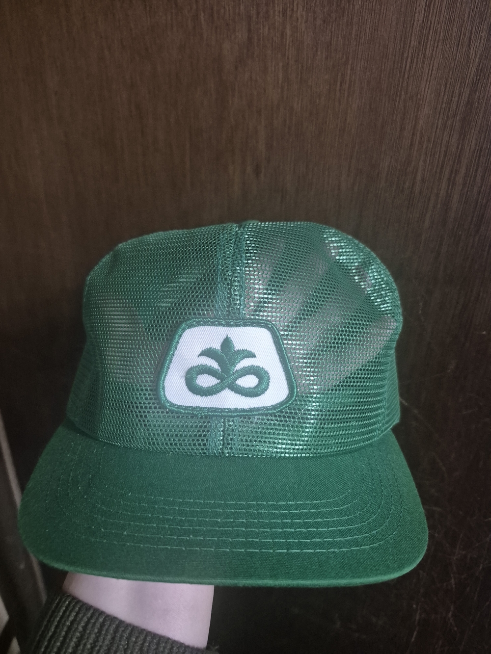 Vintage PIONEER SEED Trucker Hat